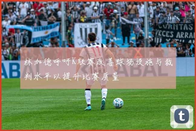林加德呼吁K联赛改善球场设施与裁判水平以提升比赛质量