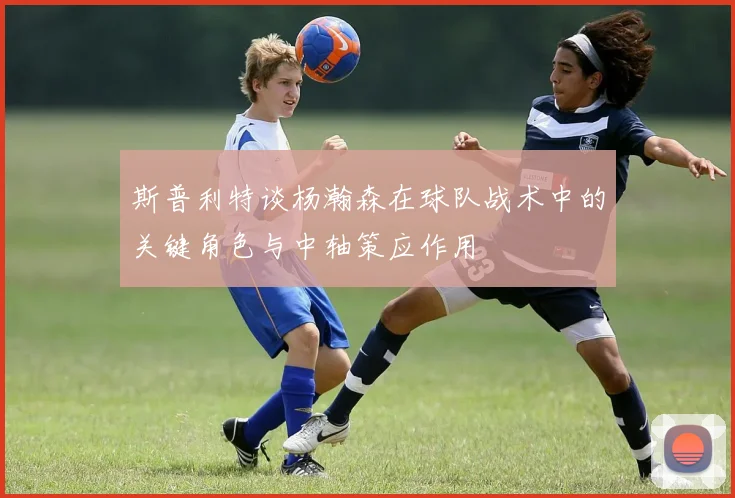 斯普利特谈杨瀚森在球队战术中的关键角色与中轴策应作用