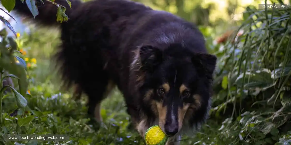 📺 弹幕互动，燃爆全场！看直播，就要和千万球迷一起嗨！